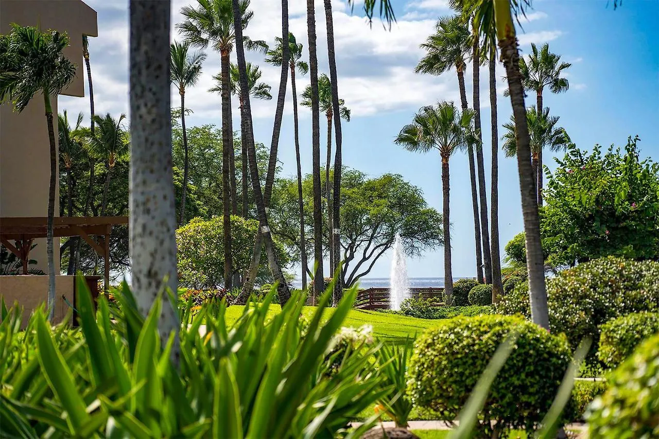 Σπίτι διακοπών Kamaole Sands 1-307 - Stunning Renovation, New Ac! Wailea  Ηνωμένες Πολιτείες της Αμερικής