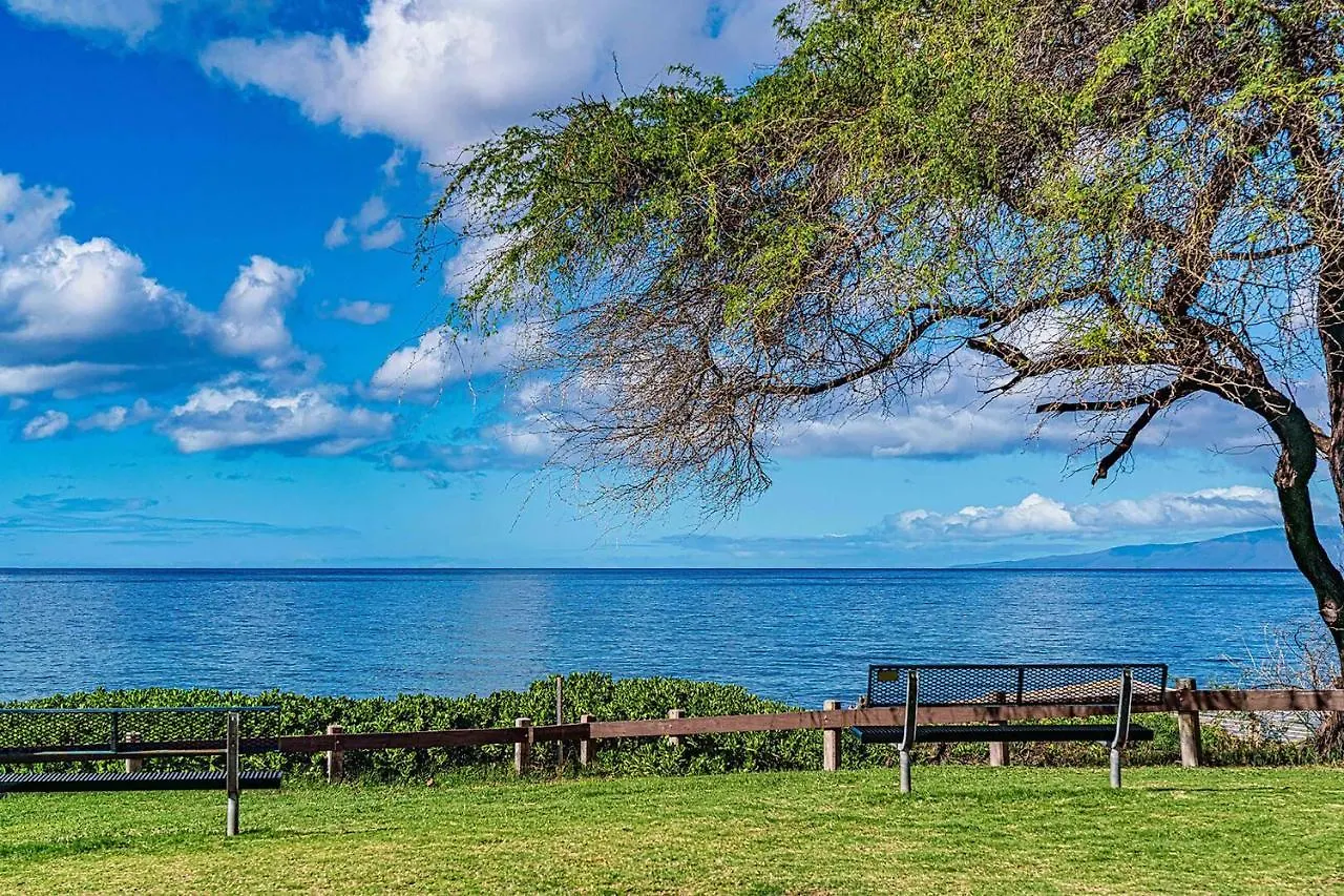 Kamaole Sands 1-307 - Stunning Renovation, New Ac! Wailea  Wailea (Maui)