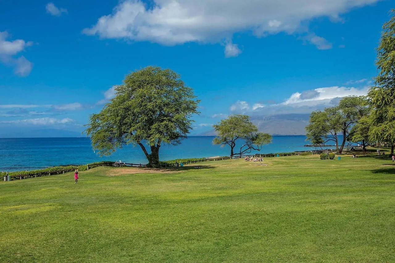 Kamaole Sands 1-307 - Stunning Renovation, New Ac! Wailea  Ηνωμένες Πολιτείες της Αμερικής